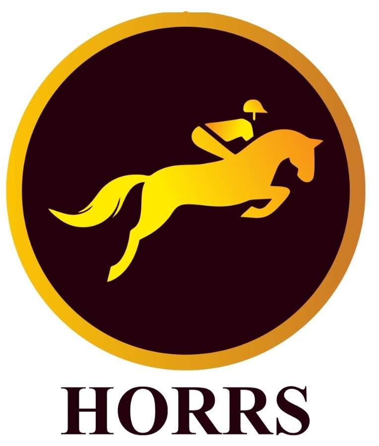 Premium Luxury Shoes 